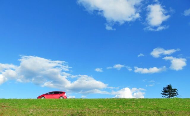 赤い車が草原をドライブしている様子