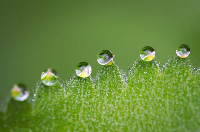 雨